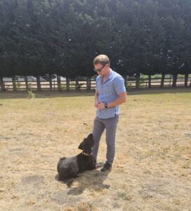 Cameron, Tri-Cities dog trainer at Insight K9 Solutions