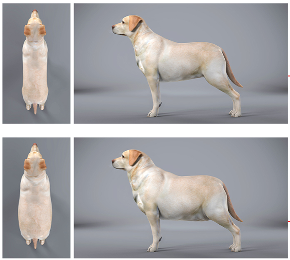 Purina BCS Overweight 6-9